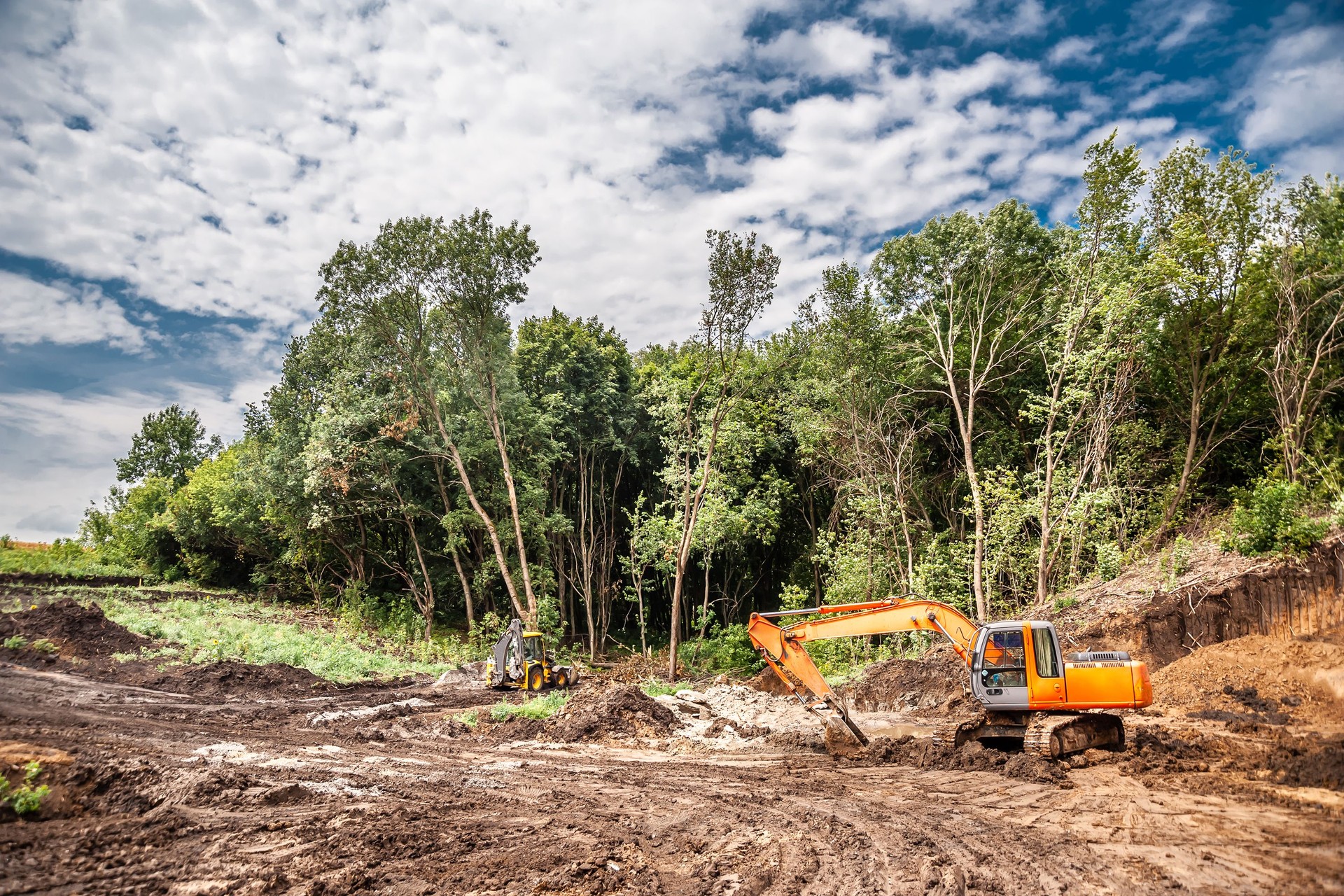 An excavator clears a site in the forest